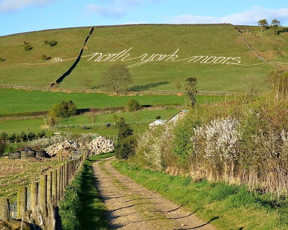 North York Moors National Park Authority – TDY 2015